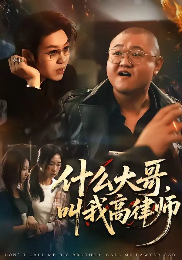 什么大哥，叫我高律师（65集）高峰＆胡柯