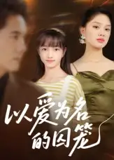 以爱为名的囚笼（70集）王永明