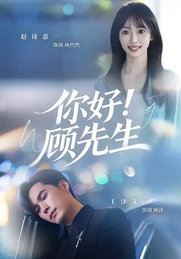 你好！顾先生赵诗意