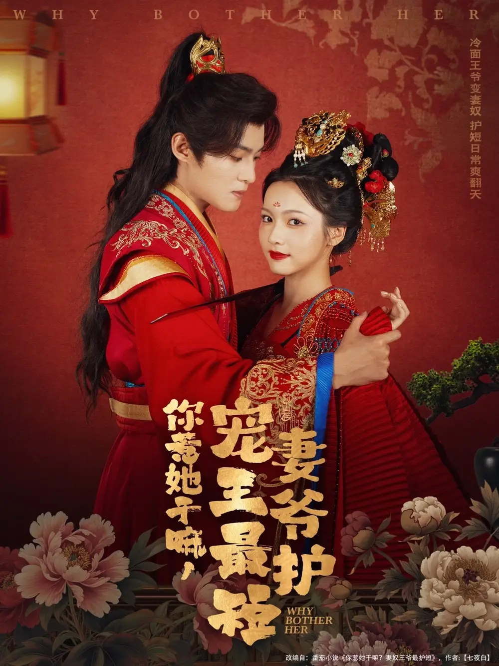 你惹她干嘛，宠妻王爷最护短（74集）谢鸿鑫|羽翎