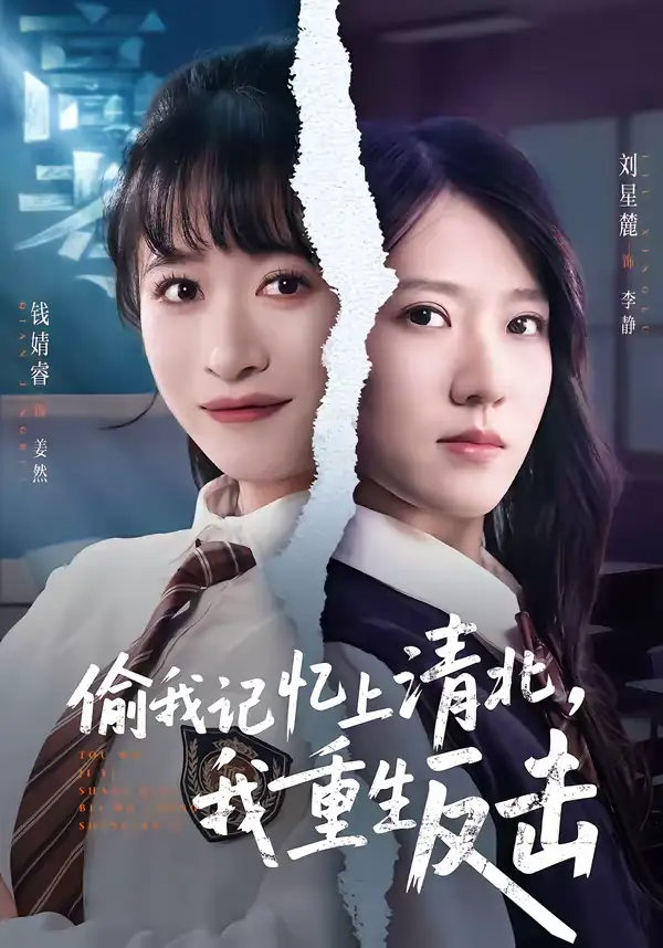 偷我记忆上清北，我重生反击钱婧睿