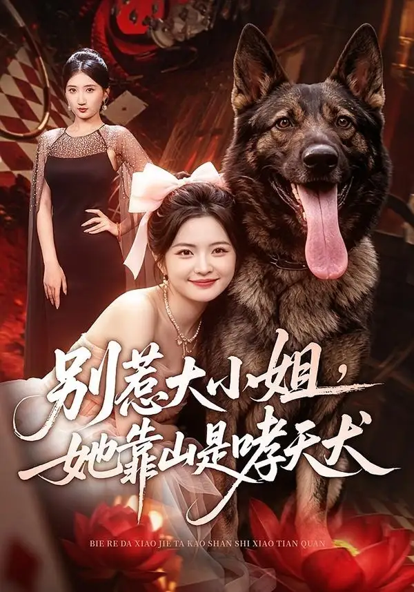 别惹大小姐，她靠山是哮天犬（86集）常珂欣＆刘继泽
