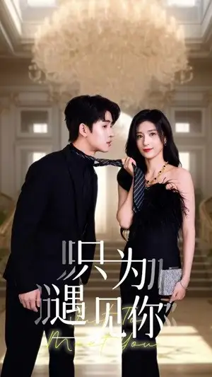 只为遇见你（88集）