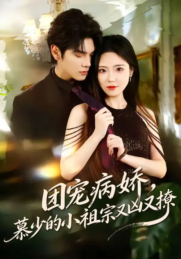 团宠病娇，慕少的小祖宗又凶又撩启航