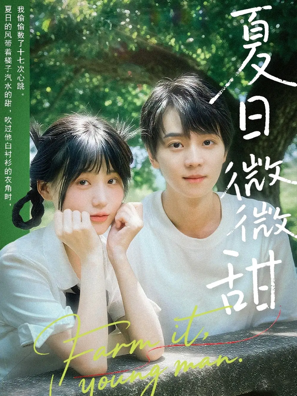 夏日微微甜（79集）苏泽林|宋澎澎