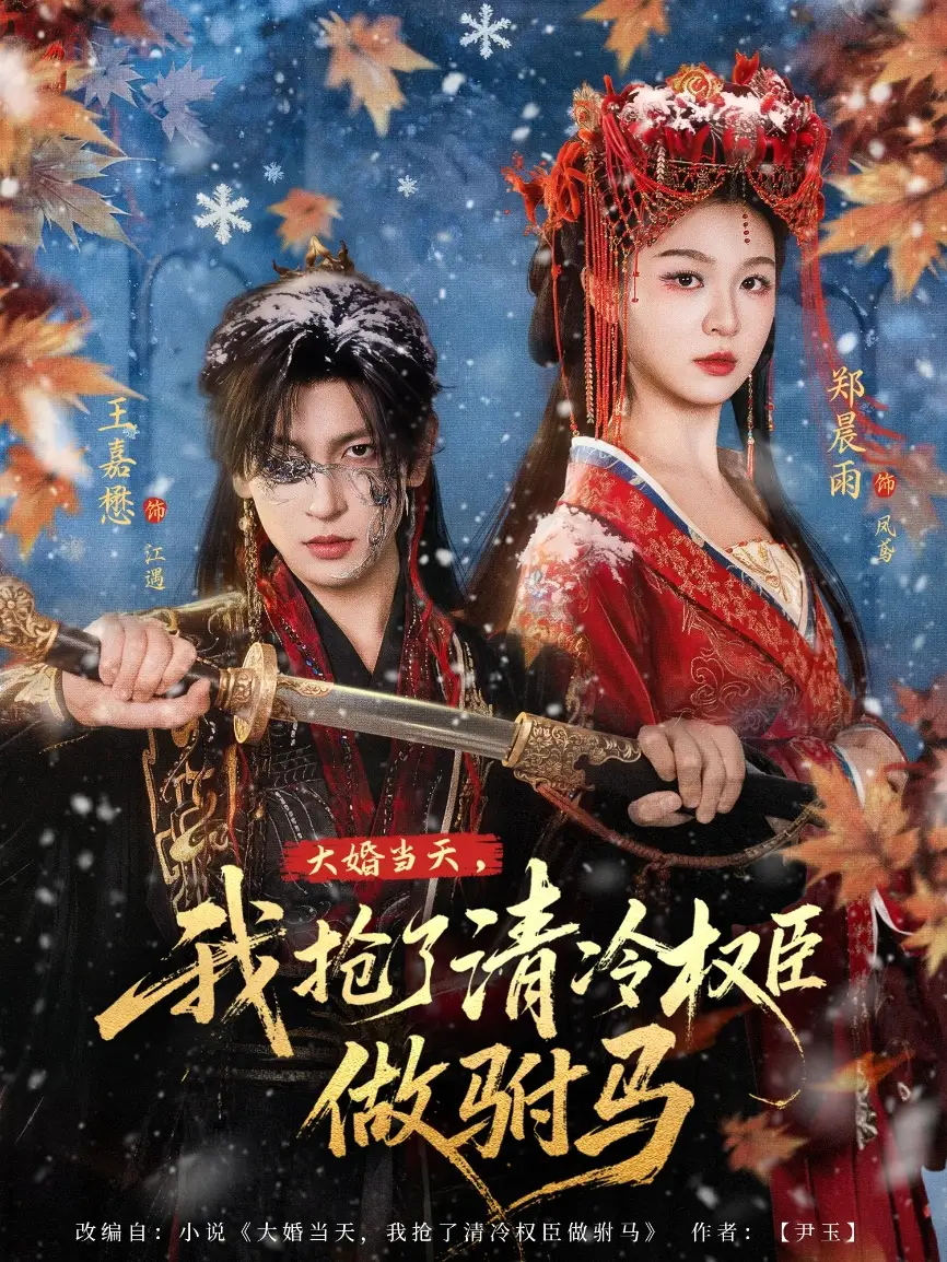 大婚当天，我抢了清冷权臣做驸马郑晨雨