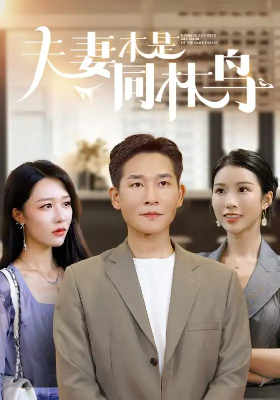 夫妻本是同林鸟（76集）李可馨&钟莹玲