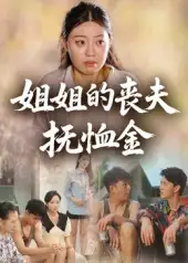 姐姐的丧夫抚恤金（40集）