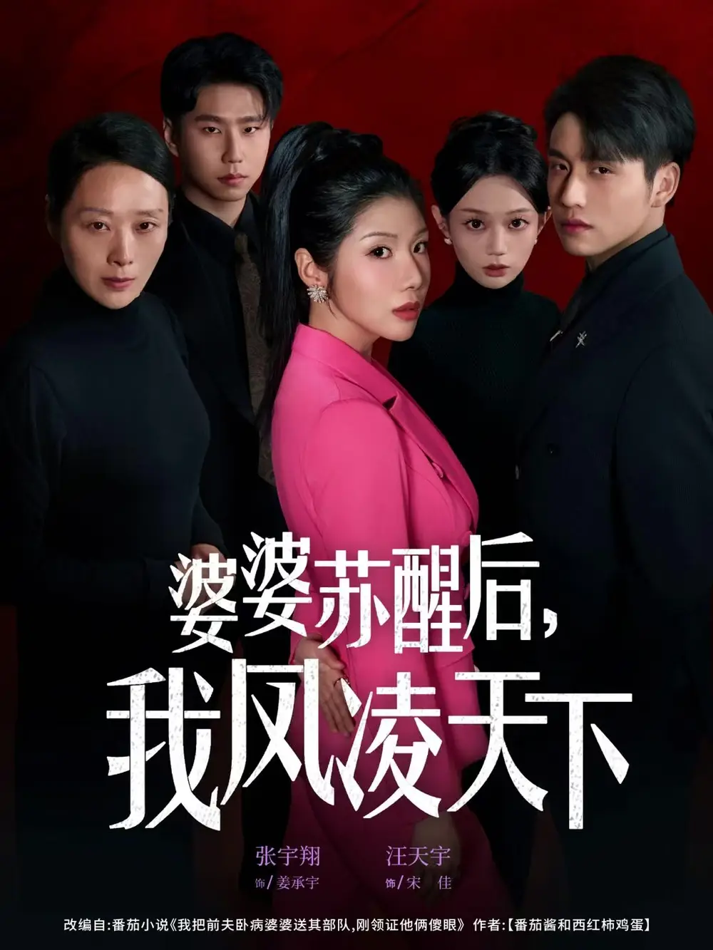 婆婆苏醒后，我凤凌天下张宇翔