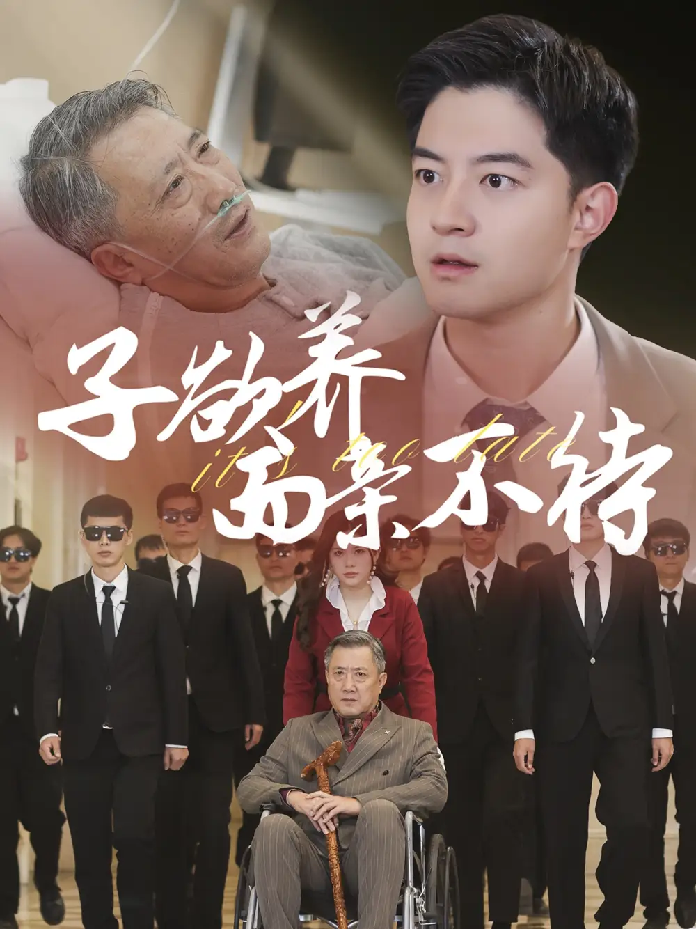 子欲养而亲不待（70集）
