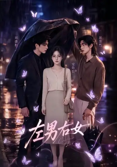左男右女（63集）