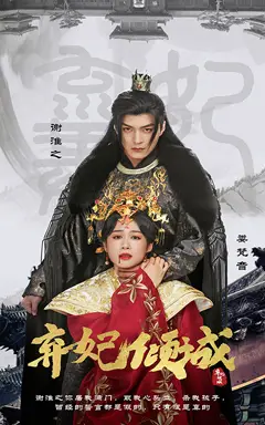 弃妃倾城（99集）