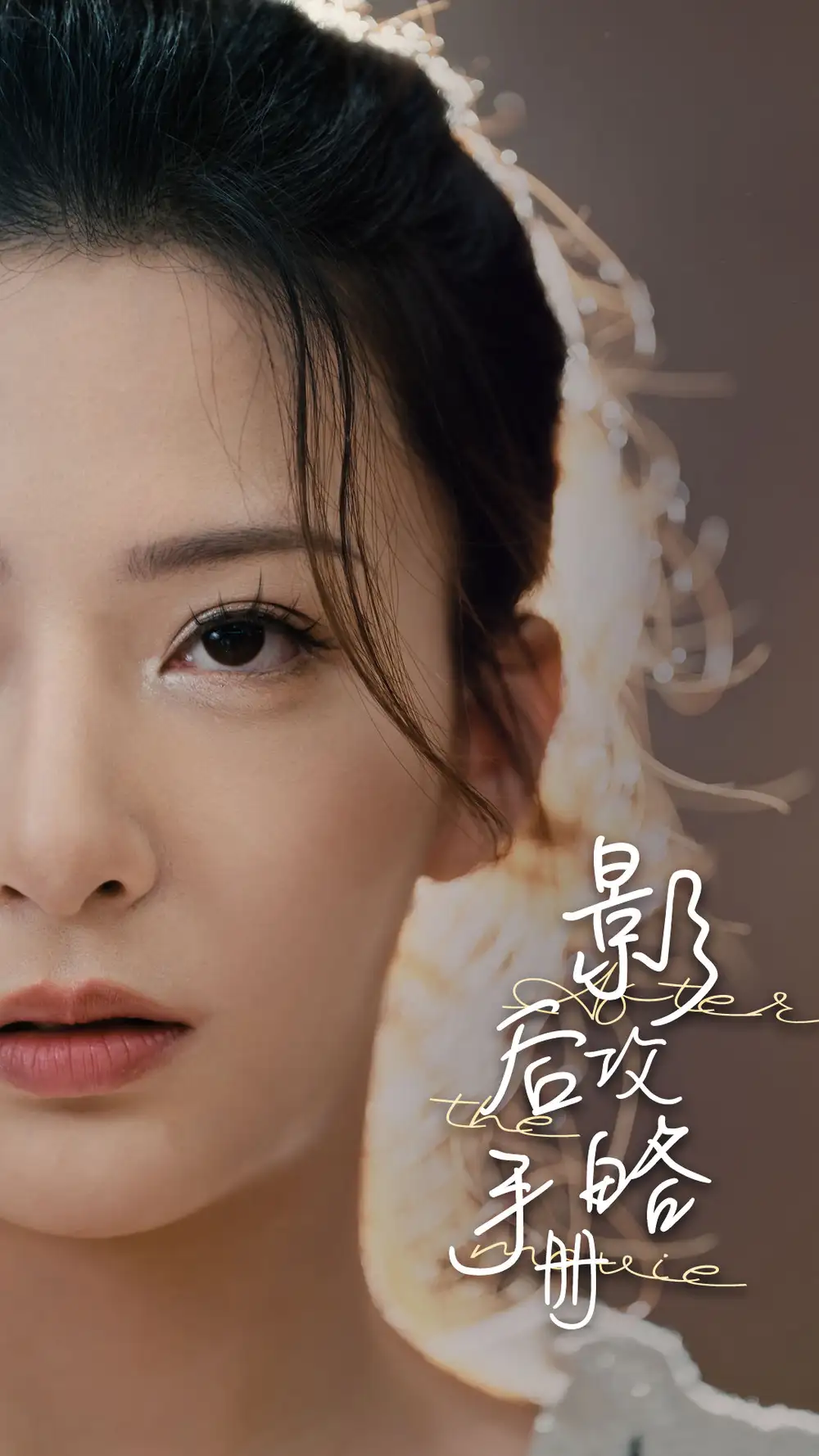 影后攻略手册（80集）