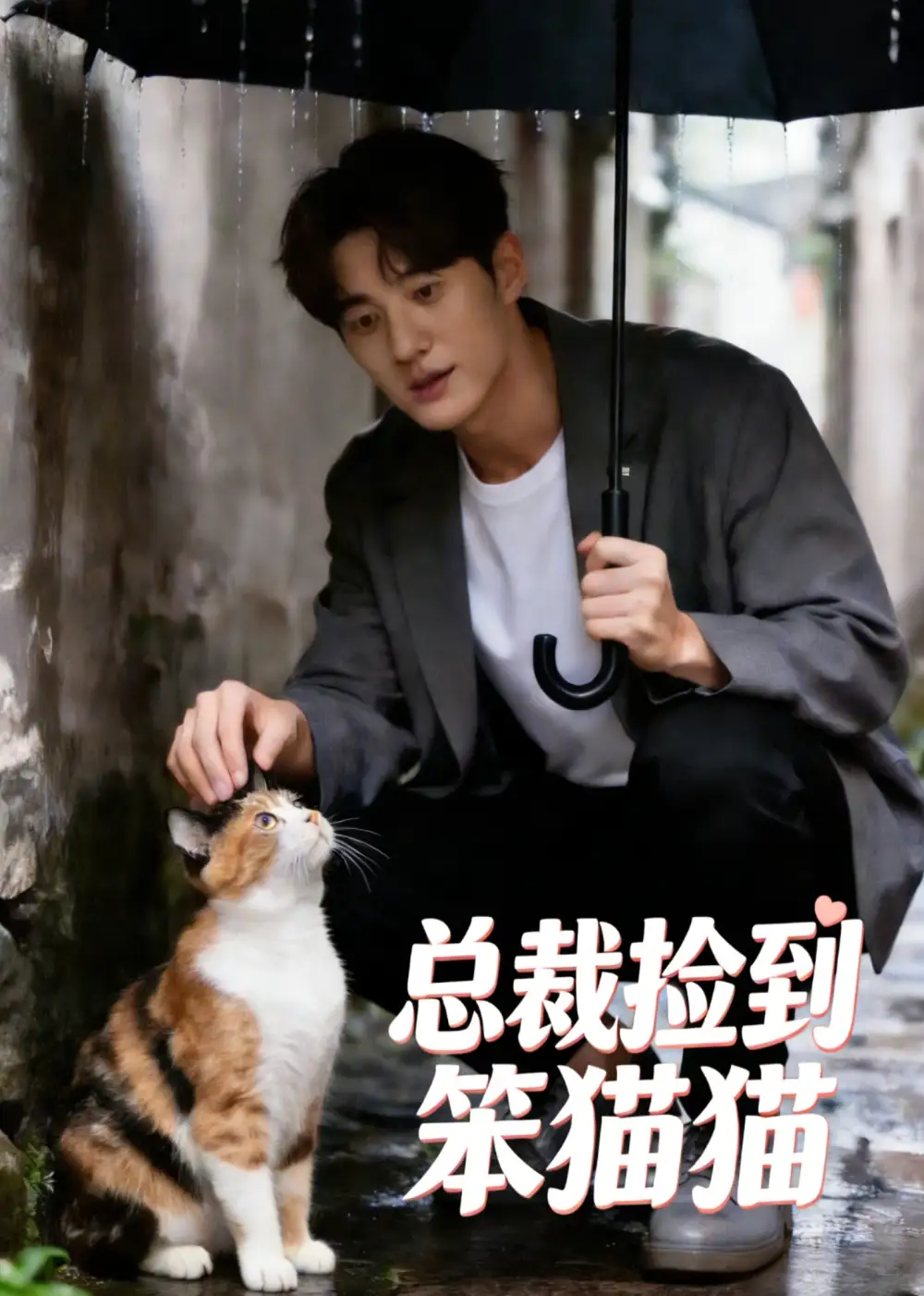 总裁捡到笨猫猫（41集）