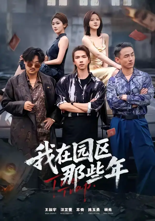 我在园区那些年王振宇