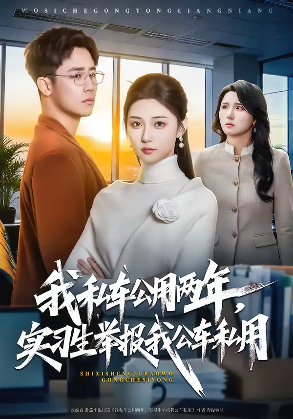 我私车公用两年，实习生举报我公车私用（63集）程雅昭＆车婷婷
