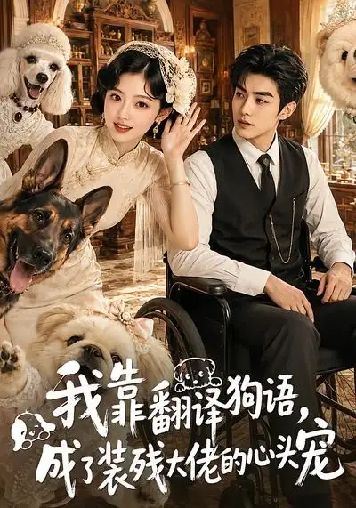 我靠翻译狗语，成了装残大佬的心尖宠（80集）