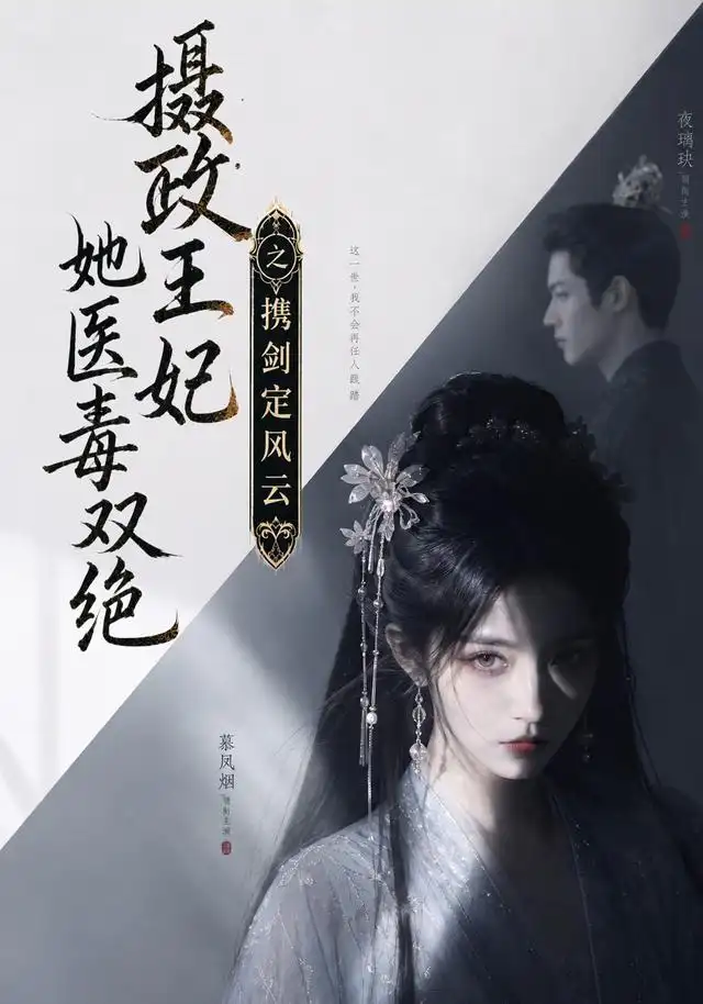 摄政王妃她医毒双绝，携剑定风云（113集）
