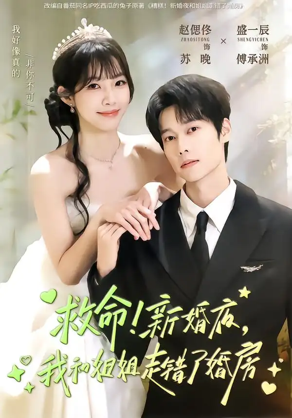 救命！新婚夜，我和姐姐走错了婚房盛一辰