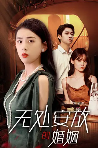 无处安放的婚姻（41集）