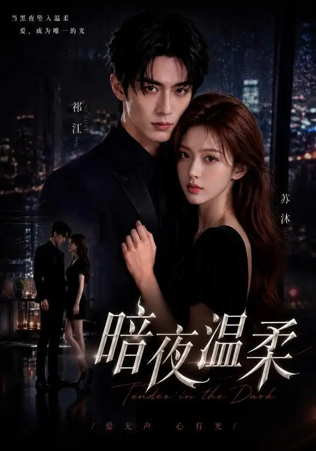 暗夜温柔（25集）