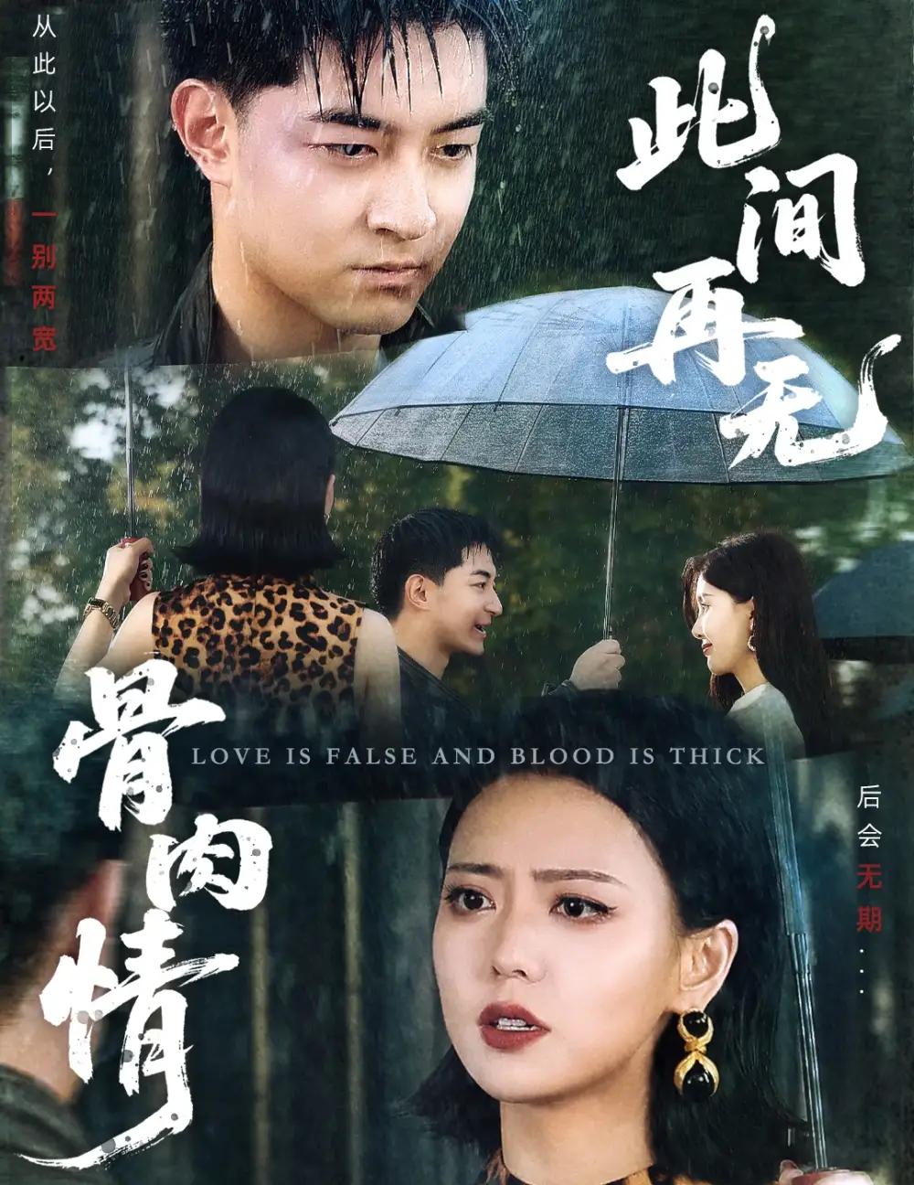 此间再无骨肉情（60集）贺龙天|高岫楠
