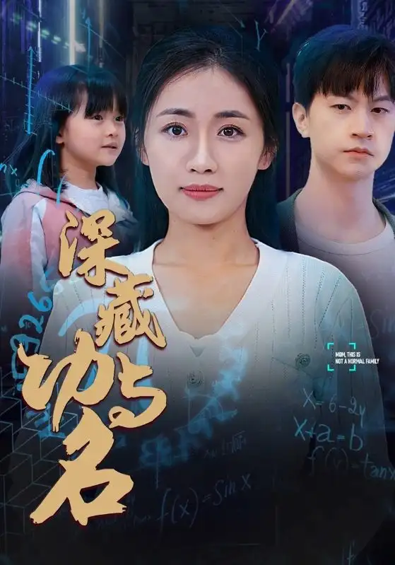 深藏功与名（71集）