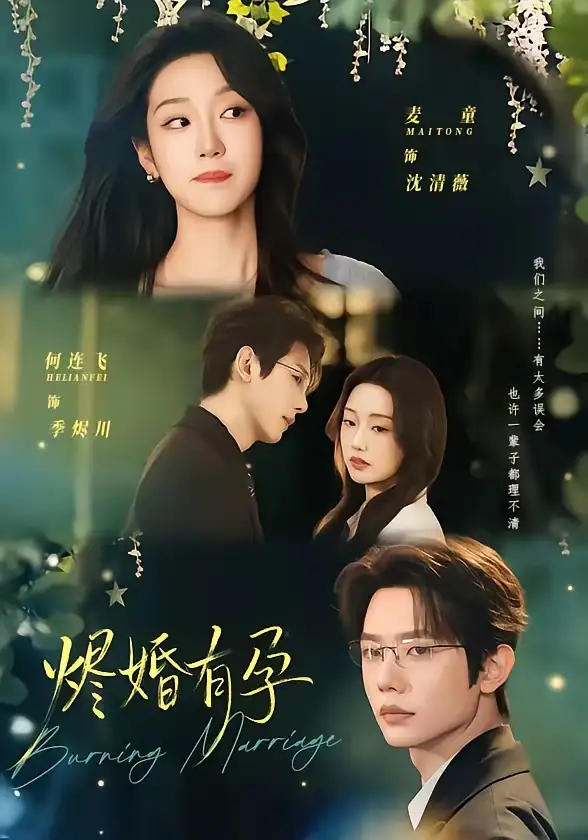 烬婚有孕何连飞