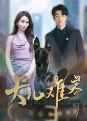 犬儿难养（38集）张炘童