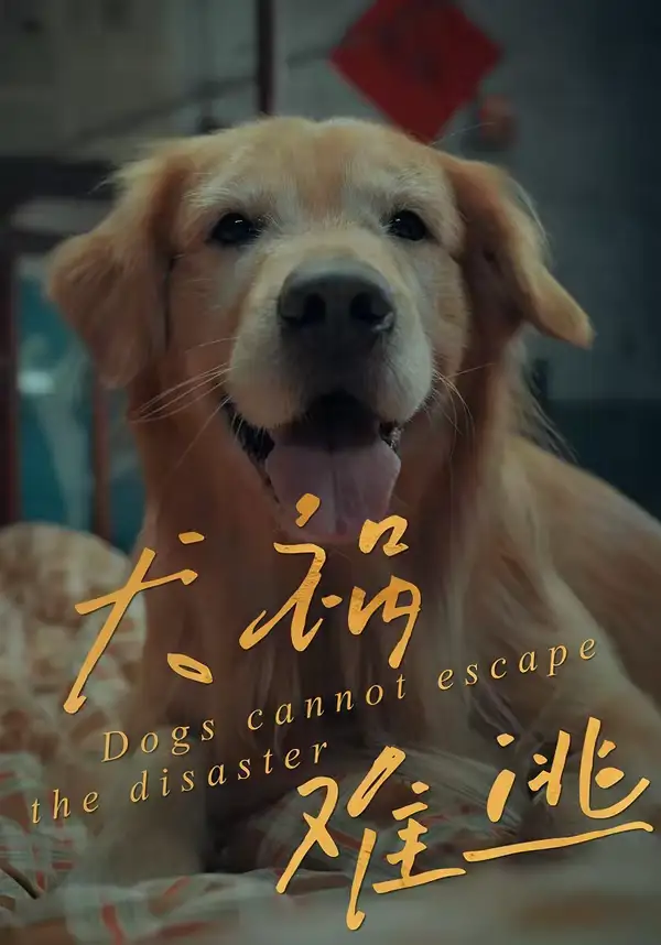 犬祸难逃（33集）刘丹＆青哥 (2026)