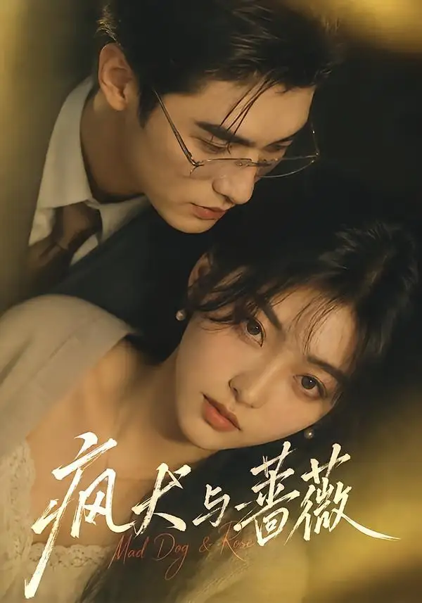 疯犬与蔷薇（48集）