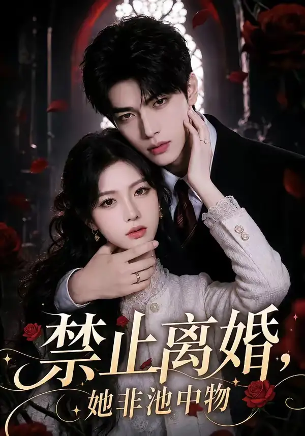禁止离婚，她非池中物（144集）