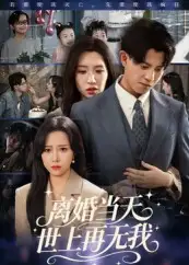 离婚当天世上再无我（60集）董劭辉