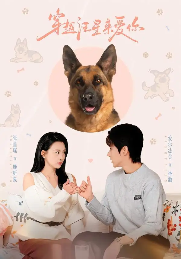 穿越汪星来爱你（62集）爱尔法金＆张星瑶