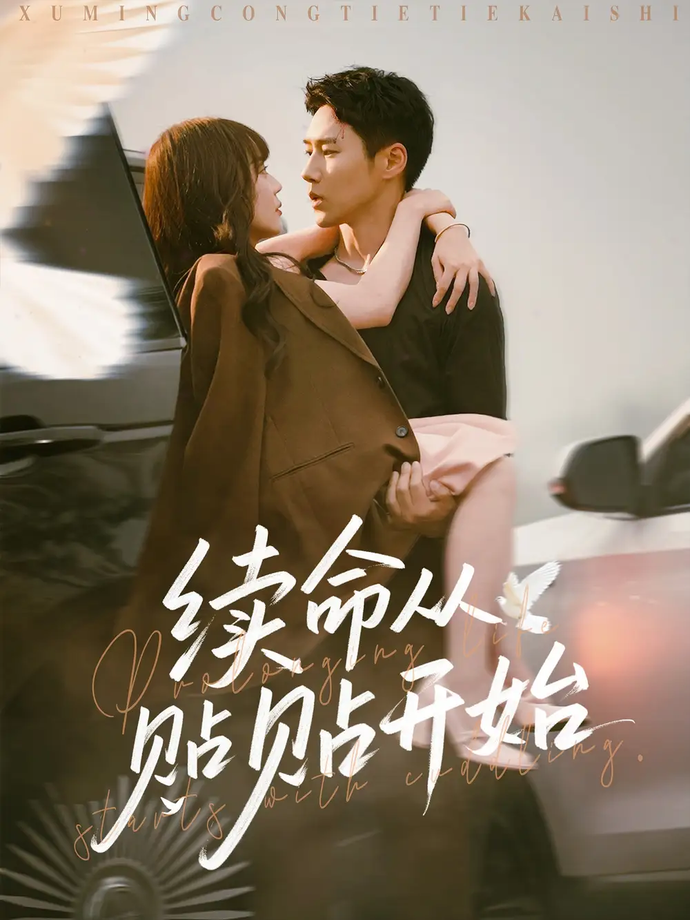 续命从贴贴开始（66集）孙蔚琳|王炳翔