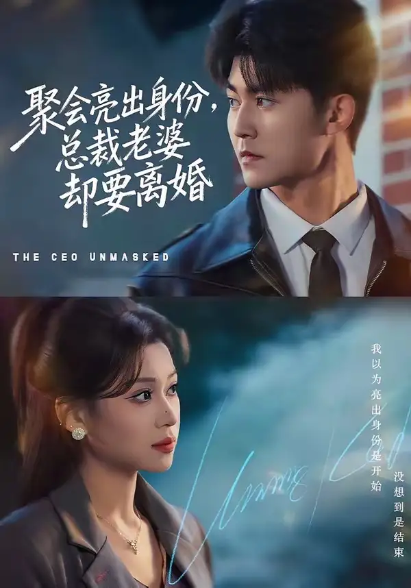 聚会亮出身份总裁老婆却要离婚（81集）梅子健＆任柏玉