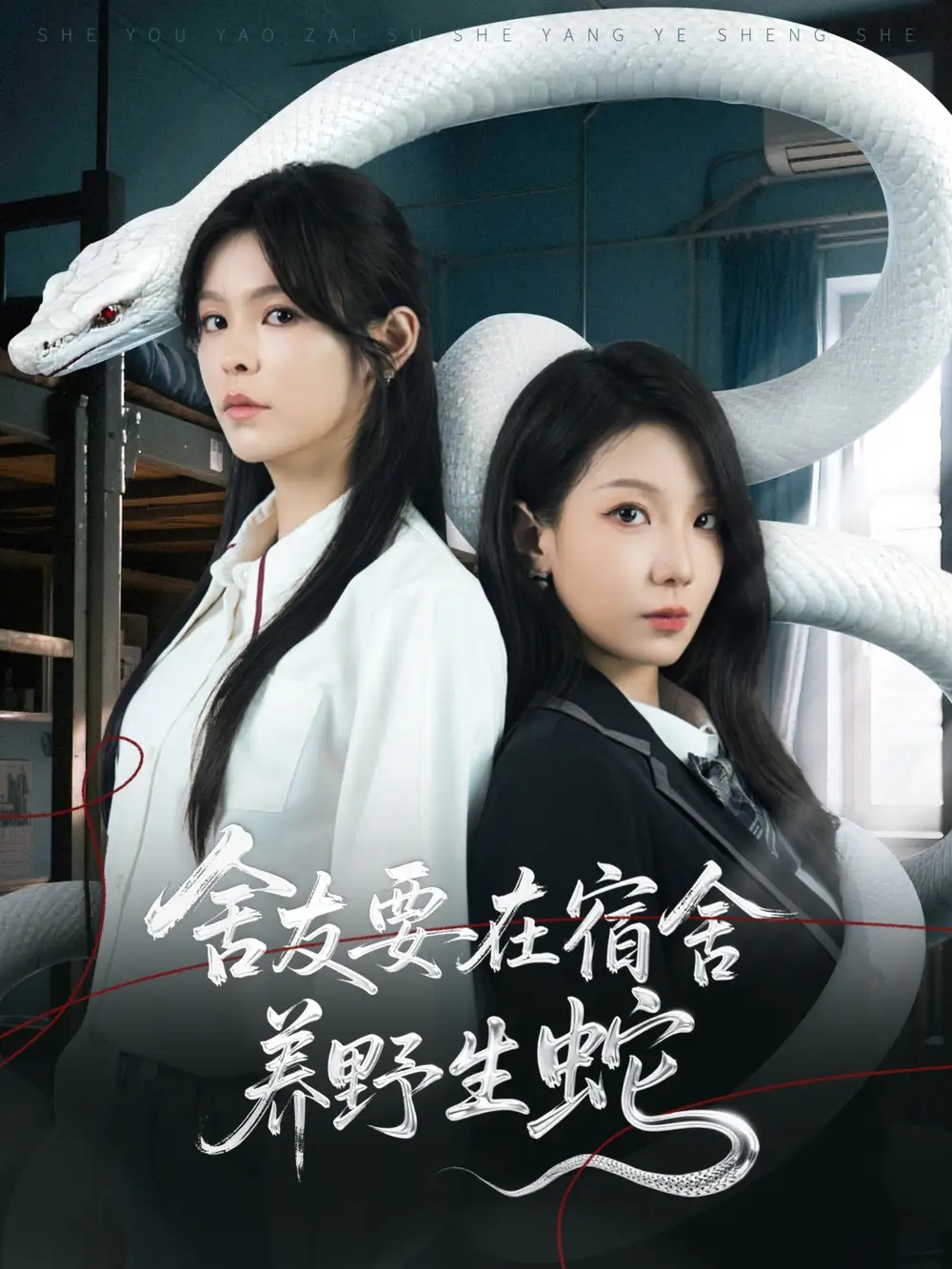 舍友要在宿舍养野生蛇（60集）朱晓彤|邓诗韵