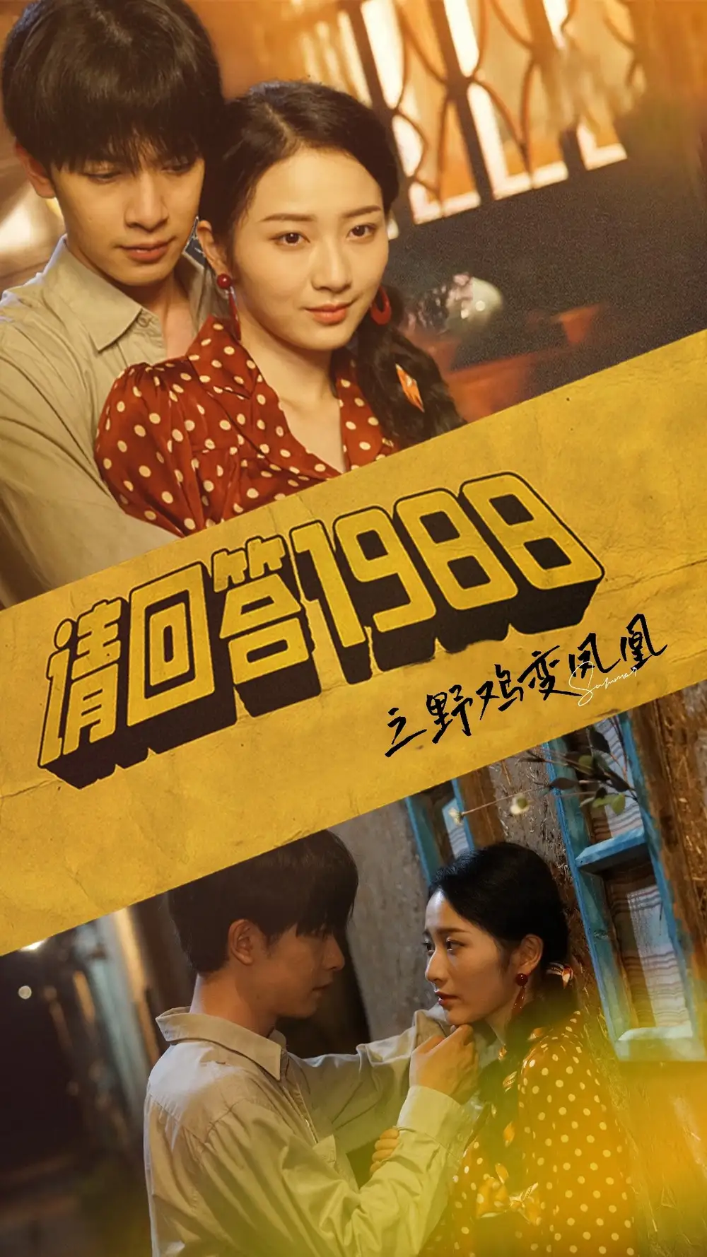 请回答1988之野鸡变凤凰（81集）
