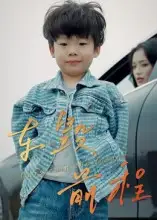 车毁前程（30集）
