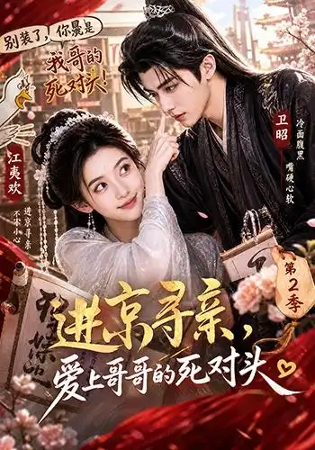 进京寻亲，爱上哥哥的死对头 第二季（95集）