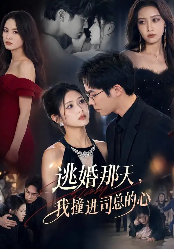 逃婚那天，我撞进司总的心（61集）余容＆张予晴