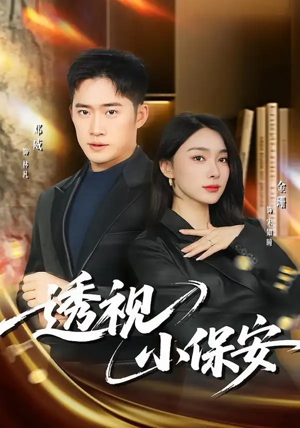 透视小保安金珊