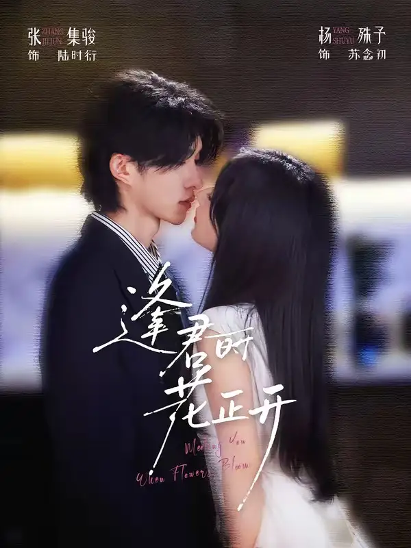 逢君时花正开（72集）张集骏＆杨殊予（1080P）
