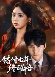 错付七年终醒悟（62集）