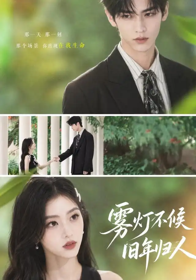 雾灯不候旧年归人（50集）