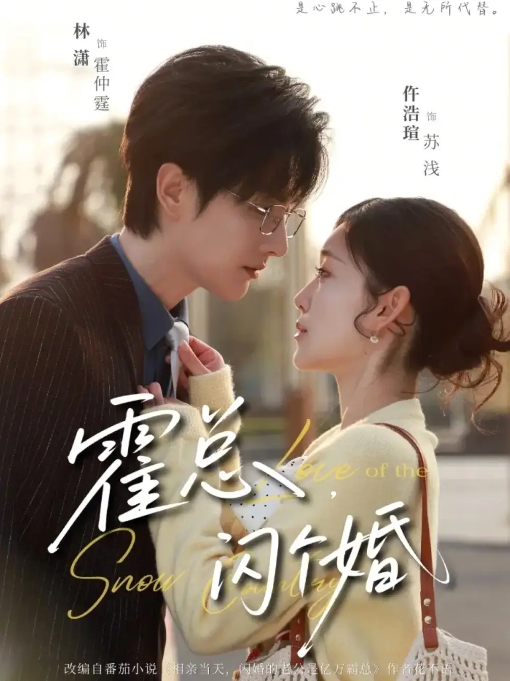 霍总闪个婚仵浩瑄