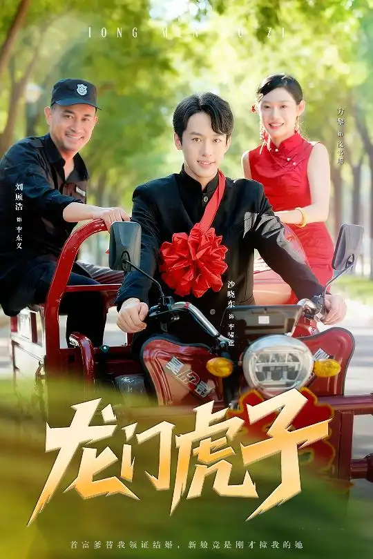 龙门虎子（72集）