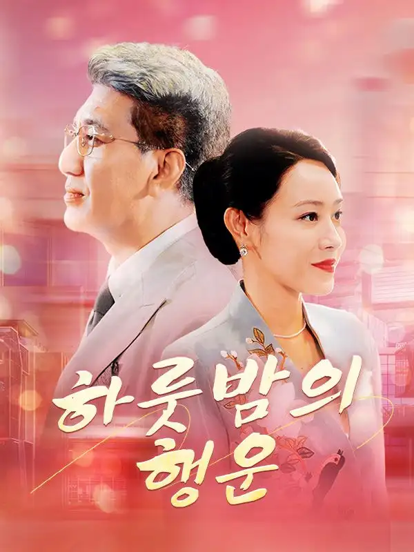 하룻밤의 행운(79集全)주경석$$진민아