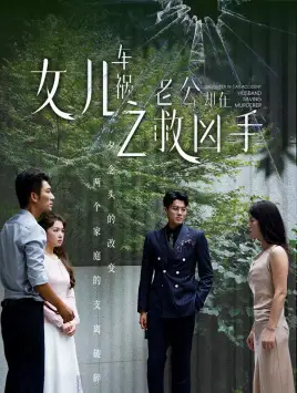10314-女儿车祸之老公却在救凶手（40集）
