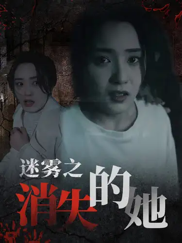 10889-迷雾之消失的她（73集）